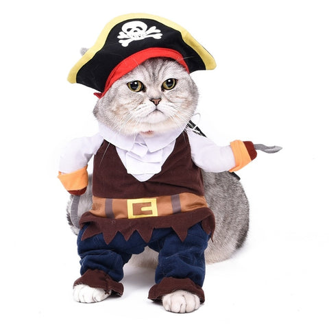 Cat Costume Corsair