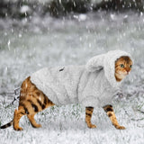 Cat Clothes For Winter
