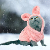 Cat Clothes For Winter