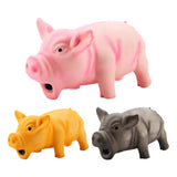 Pig Chew Squeak Dog Toy