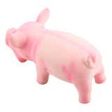 Pig Chew Squeak Dog Toy