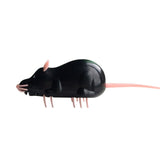 Cat Toy Ant Electric