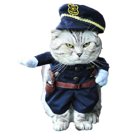 Cat Clothes Pirate Police