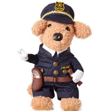 Cat Clothes Pirate Police
